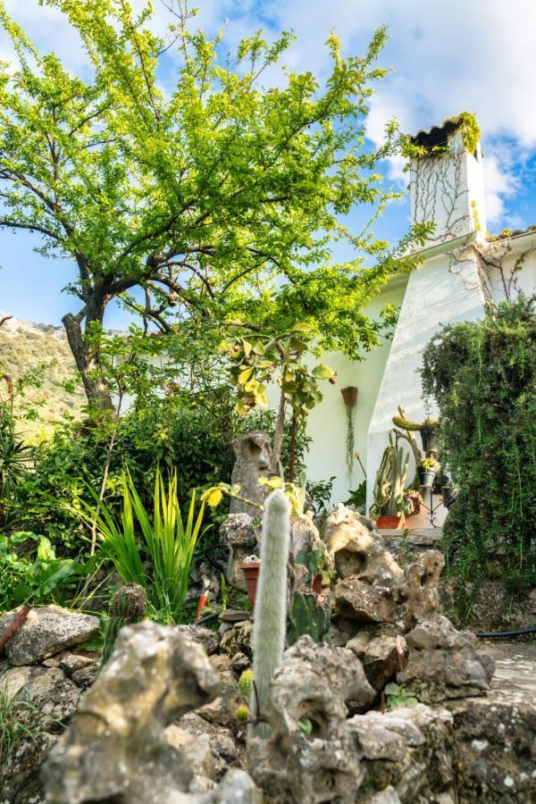 Los Cactus El Gastor Ngoại thất bức ảnh