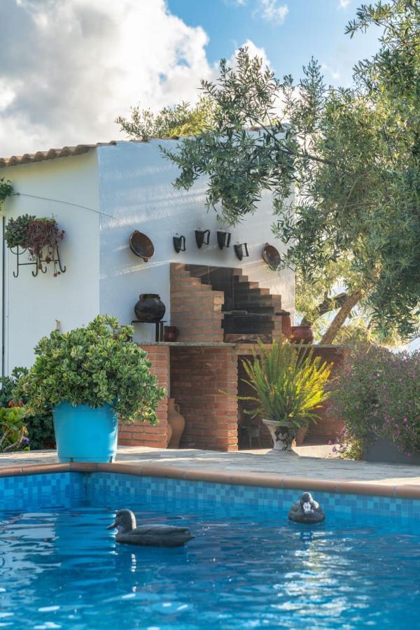 Los Cactus El Gastor Ngoại thất bức ảnh